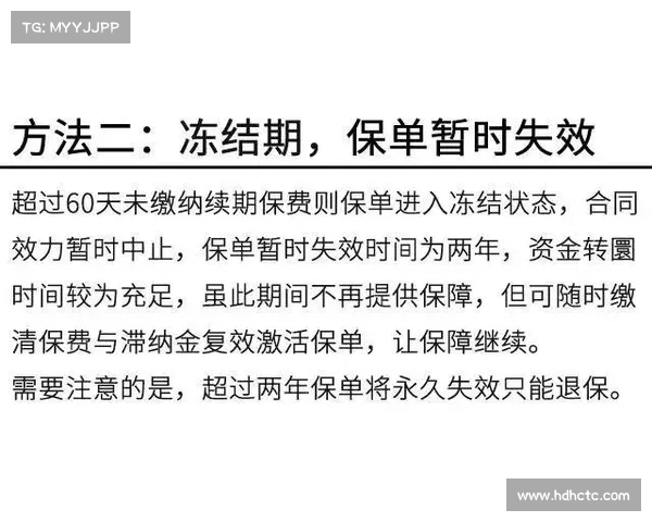 守护友谊的五种方法如何让你们的关系更加深厚与长久 守护友谊的五种方法如何让你们的关系更加深厚与长久